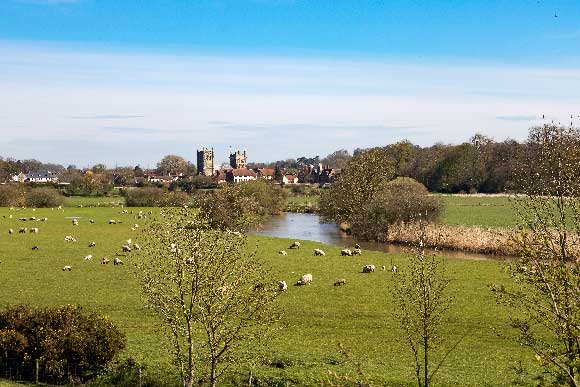 Wimborne Minster